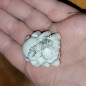 🍀Howlite Spider